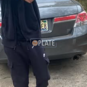E8 AL License Plate